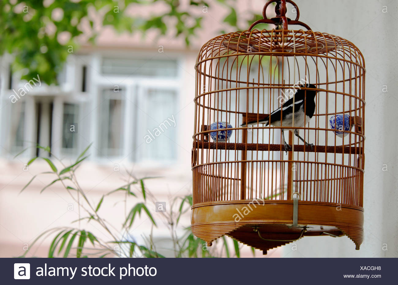 Cage à Oiseaux En Osier Avec Bird étendus Dehors House