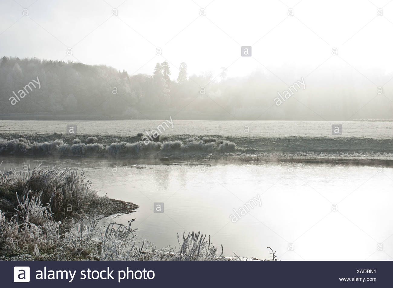 Lac glacial en hiver Banque D'Images