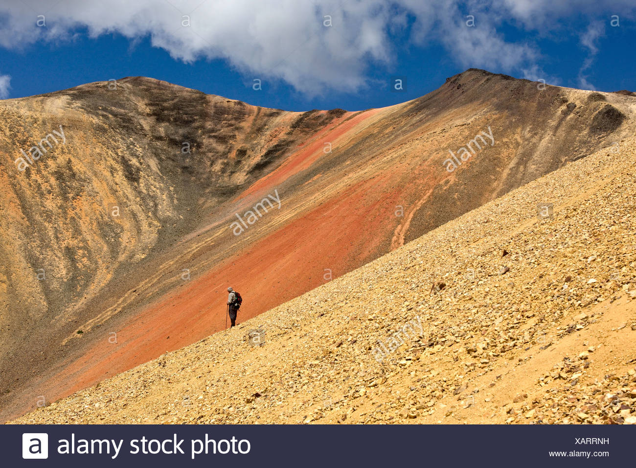 Randonnées dans le paysage volcanique de l'Arc-en-ciel montagnes de Colombie-Britannique Canada Banque D'Images