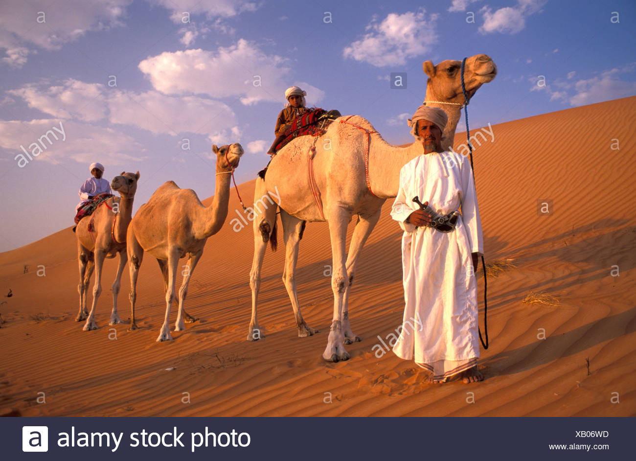 La Famille Bedouine Caravane De Chameaux Chameau Desert De Dunes De Wahiba Sands Pres De Al Qabil Oman Peninsule Arabique Photo Stock Alamy La Famille Bedouine Caravane De Chameaux Chameau Desert De Dunes De Wahiba Sands Pres De Al Qabil Oman Peninsule Arabique Photo Stock Alamy