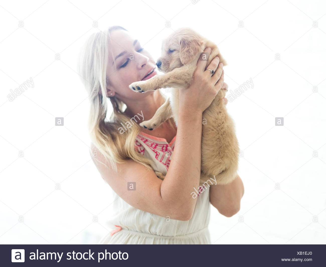 Studio shot of chiot Golden Retriever avec propriétaire Banque D'Images
