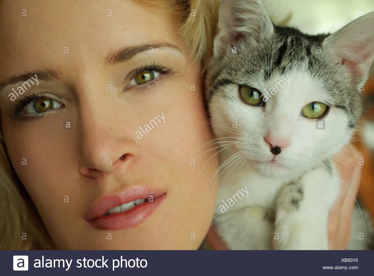 Portrait D Animaux Femme De L Etre Humain Des Yeux De Chat Yeux De Chat Minou Chat Domestique Photo Stock Alamy Portrait D Animaux Femme De L Etre Humain Des Yeux De Chat Yeux De Chat Minou Chat Domestique Photo Stock Alamy