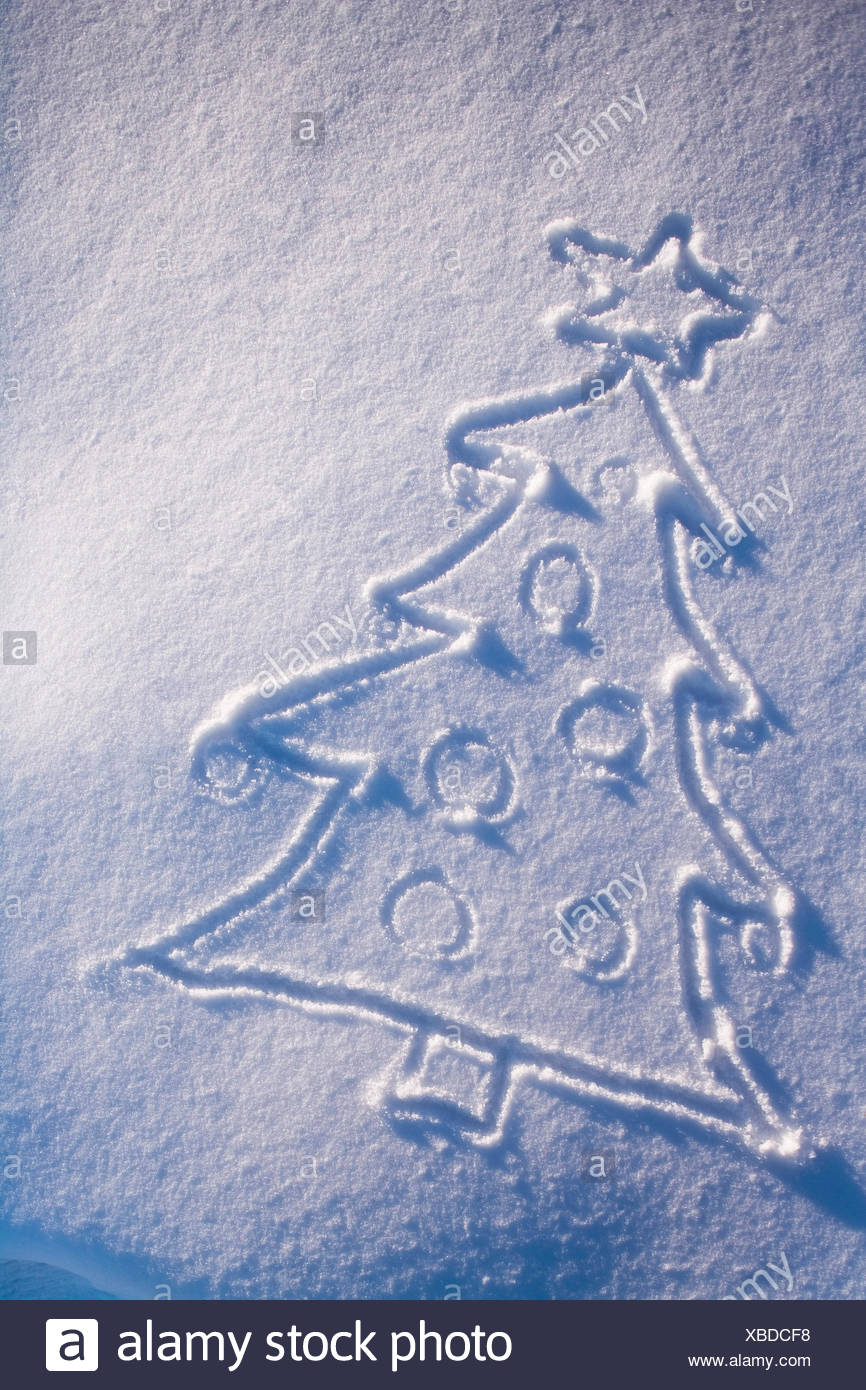 Dessin De L Arbre De Noel Dans La Couche De Neige Fraiche En Hiver Alaska Photo Stock Alamy Dessin De L Arbre De Noel Dans La Couche De Neige Fraiche En Hiver Alaska Photo Stock Alamy