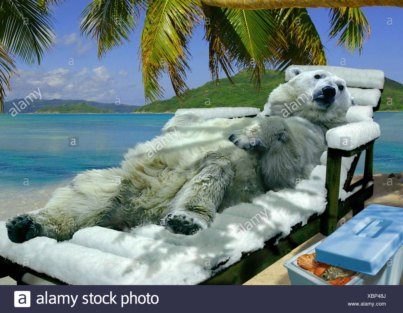L Ours Polaire Sur La Chaise Longue Sur La Plage Ursus Maritimus Photo Stock Alamy