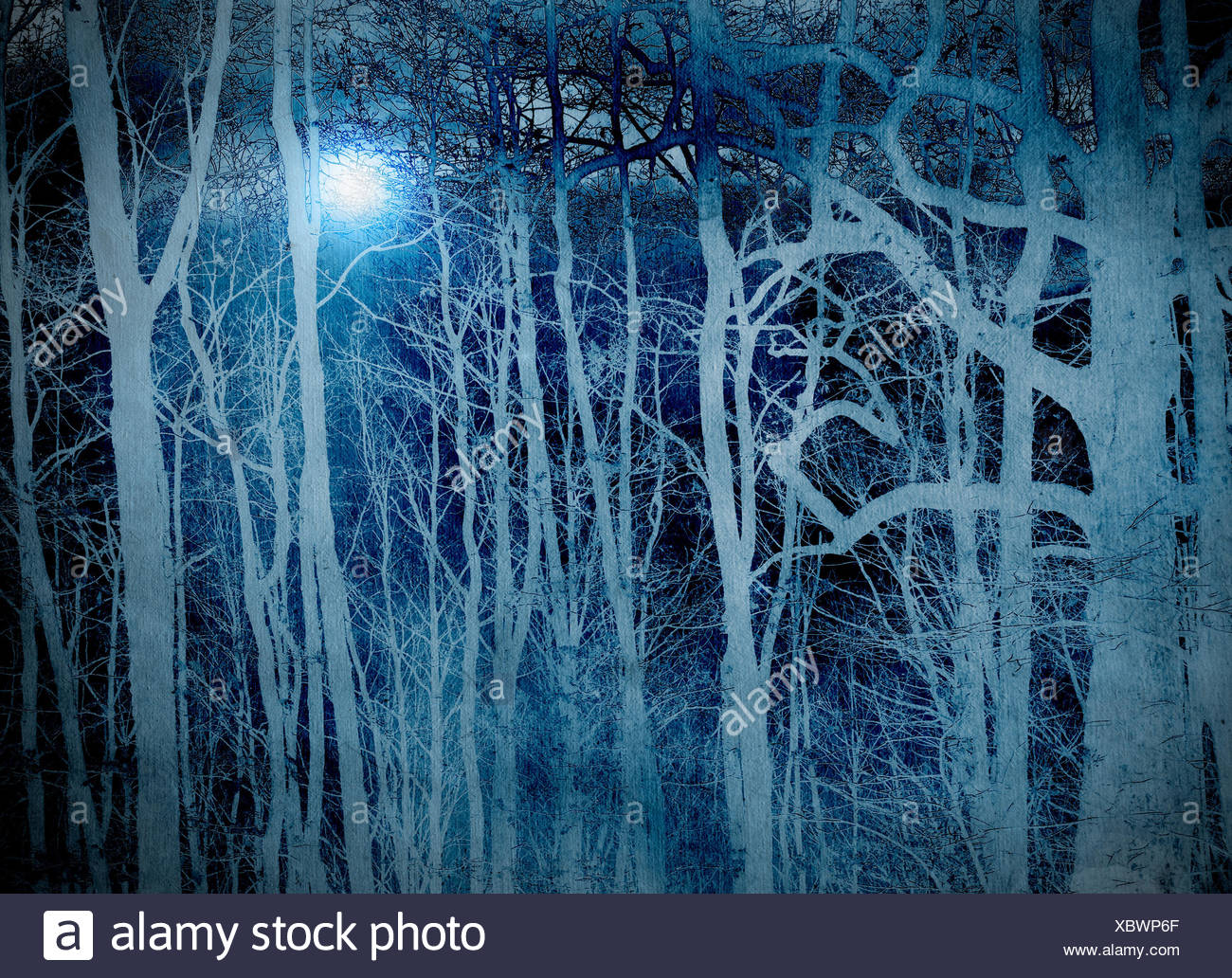 Peur Bleue Dans La Foret La Nuit Avec Lune Illustration Photo Stock Alamy Peur Bleue Dans La Foret La Nuit Avec Lune Illustration Photo Stock Alamy