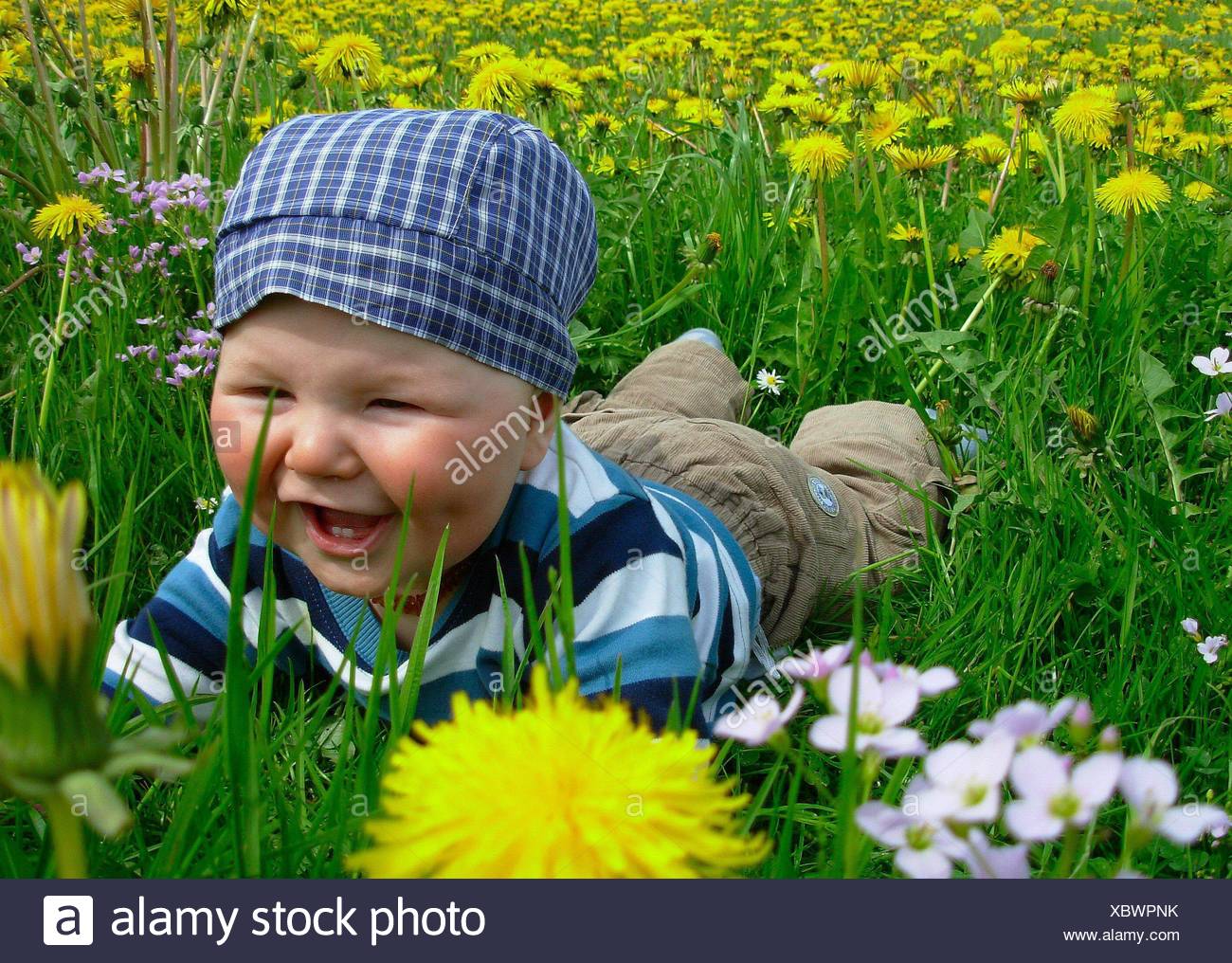 Mensonge Mensonge Mensonge Heureux Printemps Bebe Radiant Joyeux Enthousiastes Peu Ambitieuse Photo Stock Alamy
