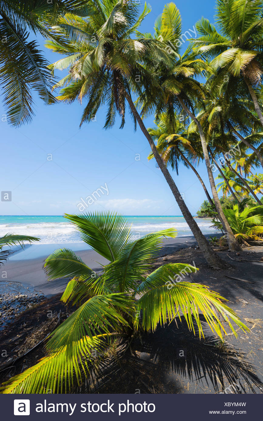 La Guadeloupe La France Les Caraïbes île Plage Sable