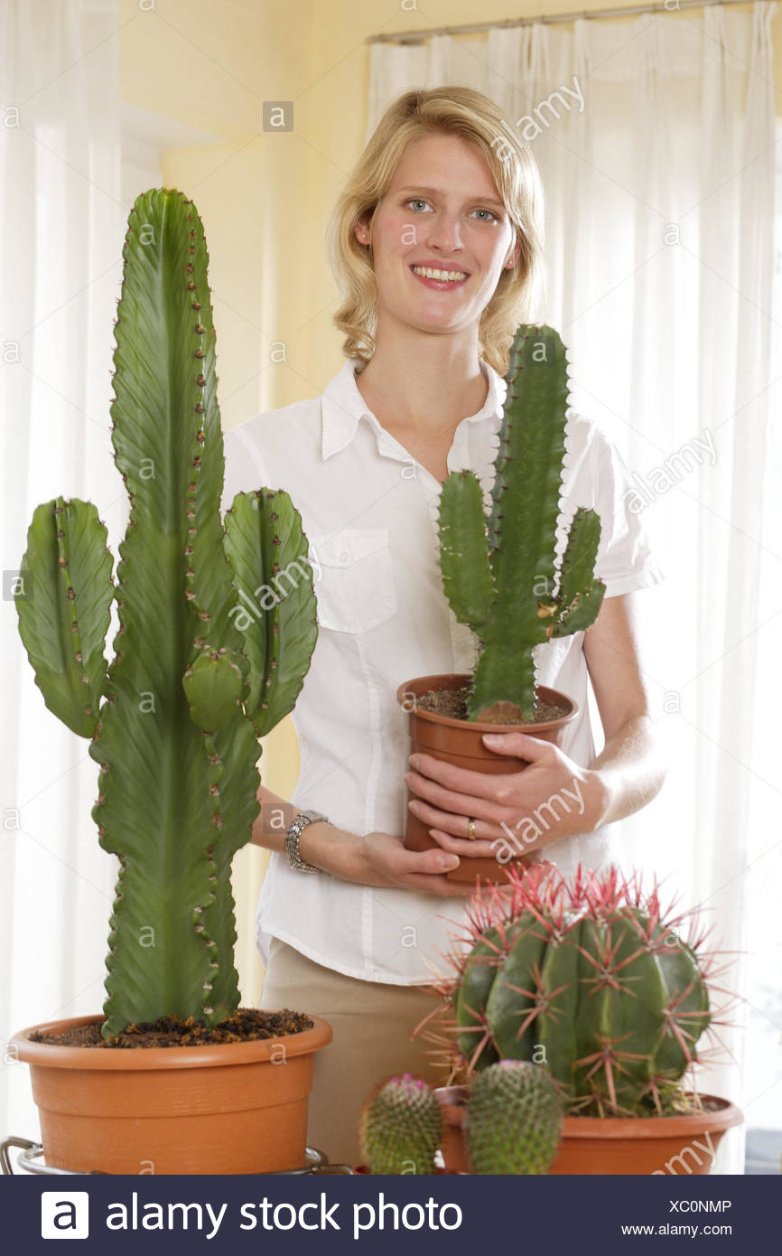 Femme Jeune Les Plantes D Interieur De L Euphorbe Esule Cactus Present Fierement Television Chambre Decoration Plantes Plantes Ornementales Plantes En Pot Pots De Fleurs Plantes Grasses Reguliere Point Tenir Plantes Grasses Cactus