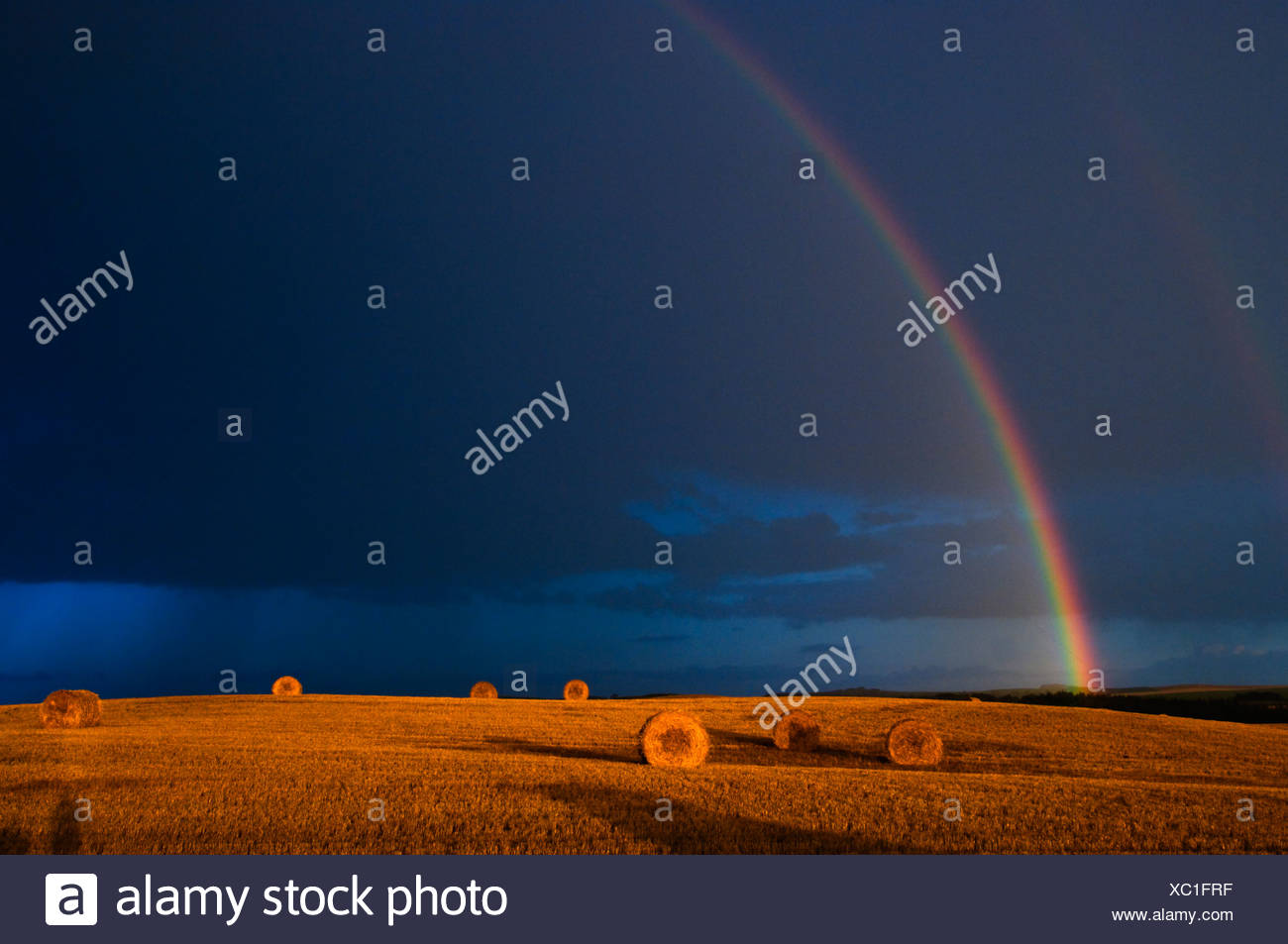 Agriculture - un arc-en-ciel et nuages de tempête au-dessus d'un champ de blé ronde bottes de paille / près de Cypress River, Manitoba, Canada. Banque D'Images