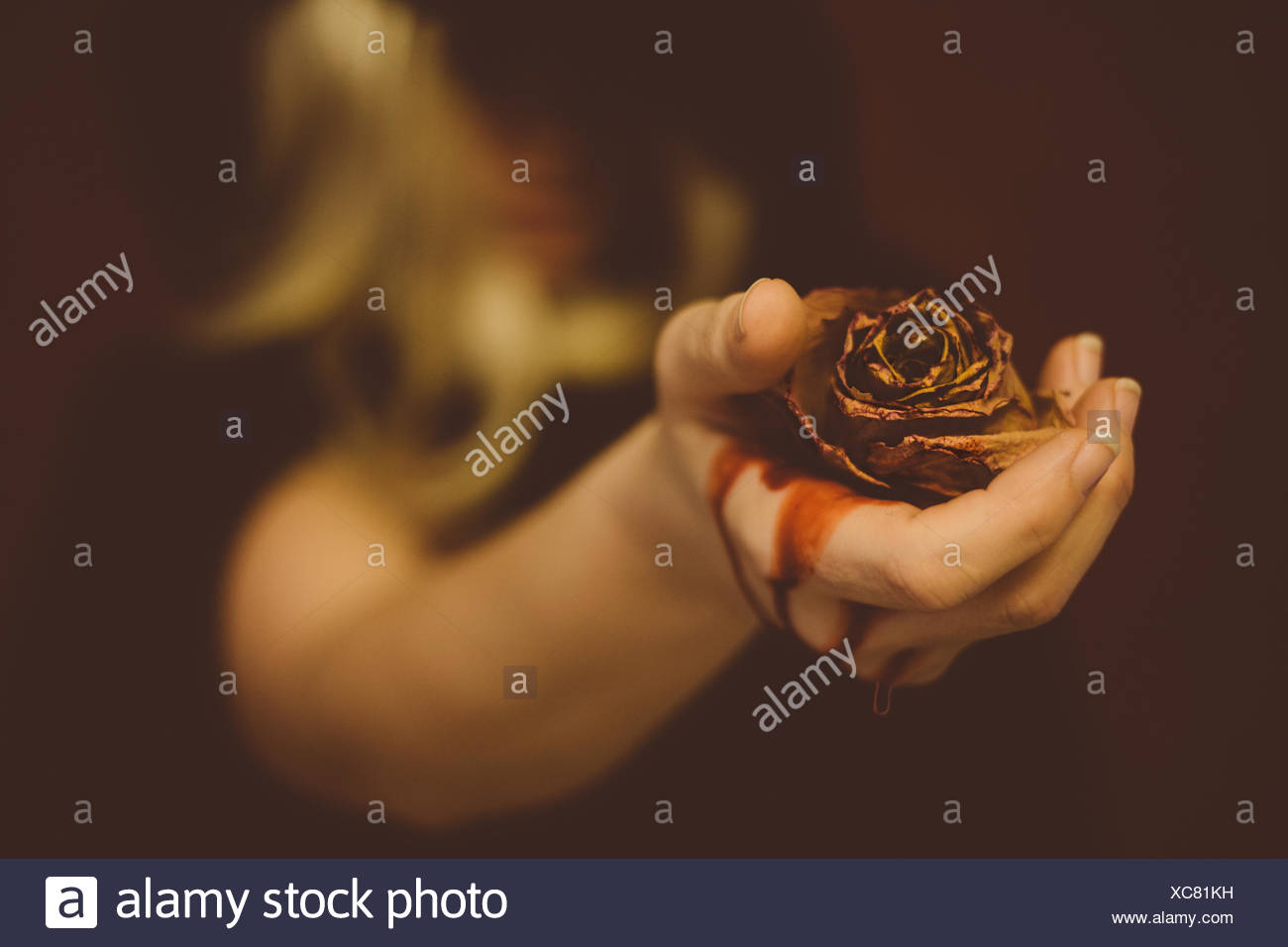Portrait of Woman Holding Rose morte avec purge Banque D'Images