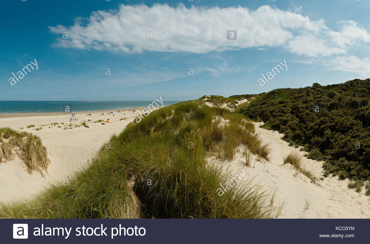 Pays Bas La Hollande Leurope Renesse Mer Du Nord De