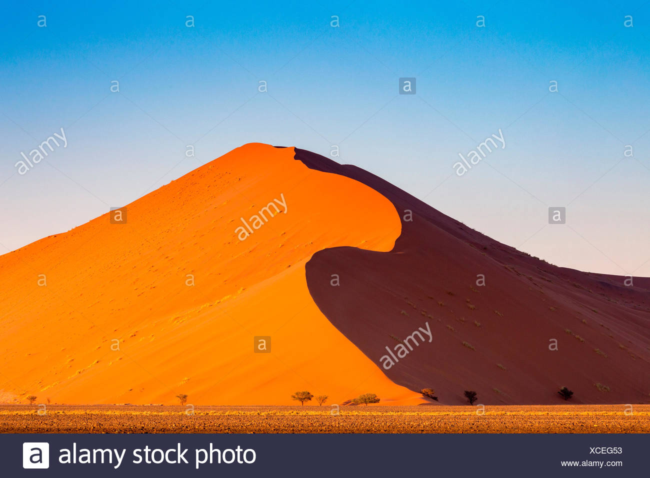 Désert du Namib, les dunes de sable. La Namibie, l'Afrique Banque D'Images