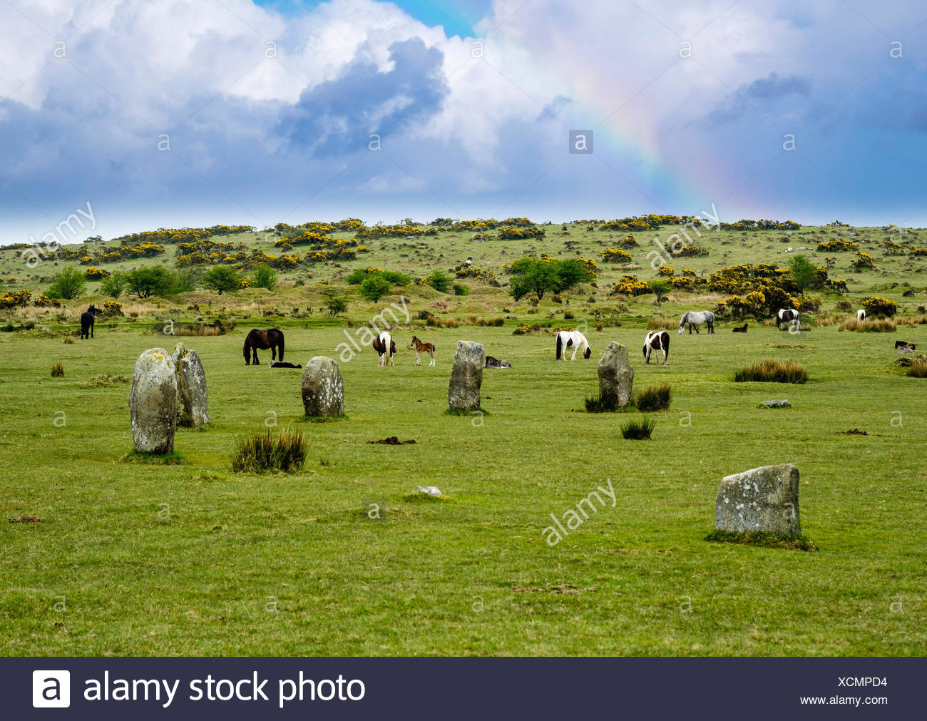 The Hurlers Steinkreis Megalithen, aus Bronzezeit, poneys, Bodmin Moor, Cornwall, Angleterre, Iles Banque D'Images