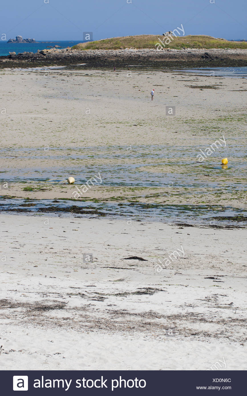 Segment de plage à marée basse, France, Bretagne, Océan Atlantique Banque D'Images