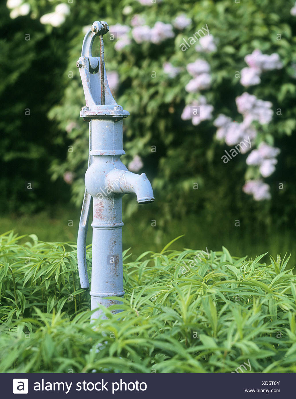 Vieille Pompe à Eau Manuelle Photo Stock Image Du Vieux