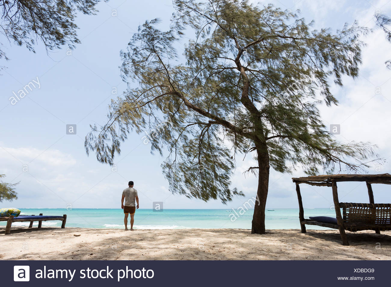 Homme debout sur la plage de Diani, Kenya Banque D'Images