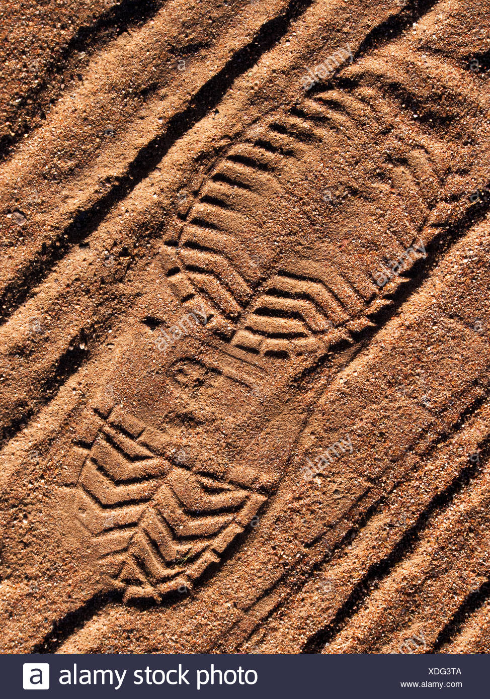 Shoe Print Evidence Photos & Shoe Print Evidence Images - Alamy