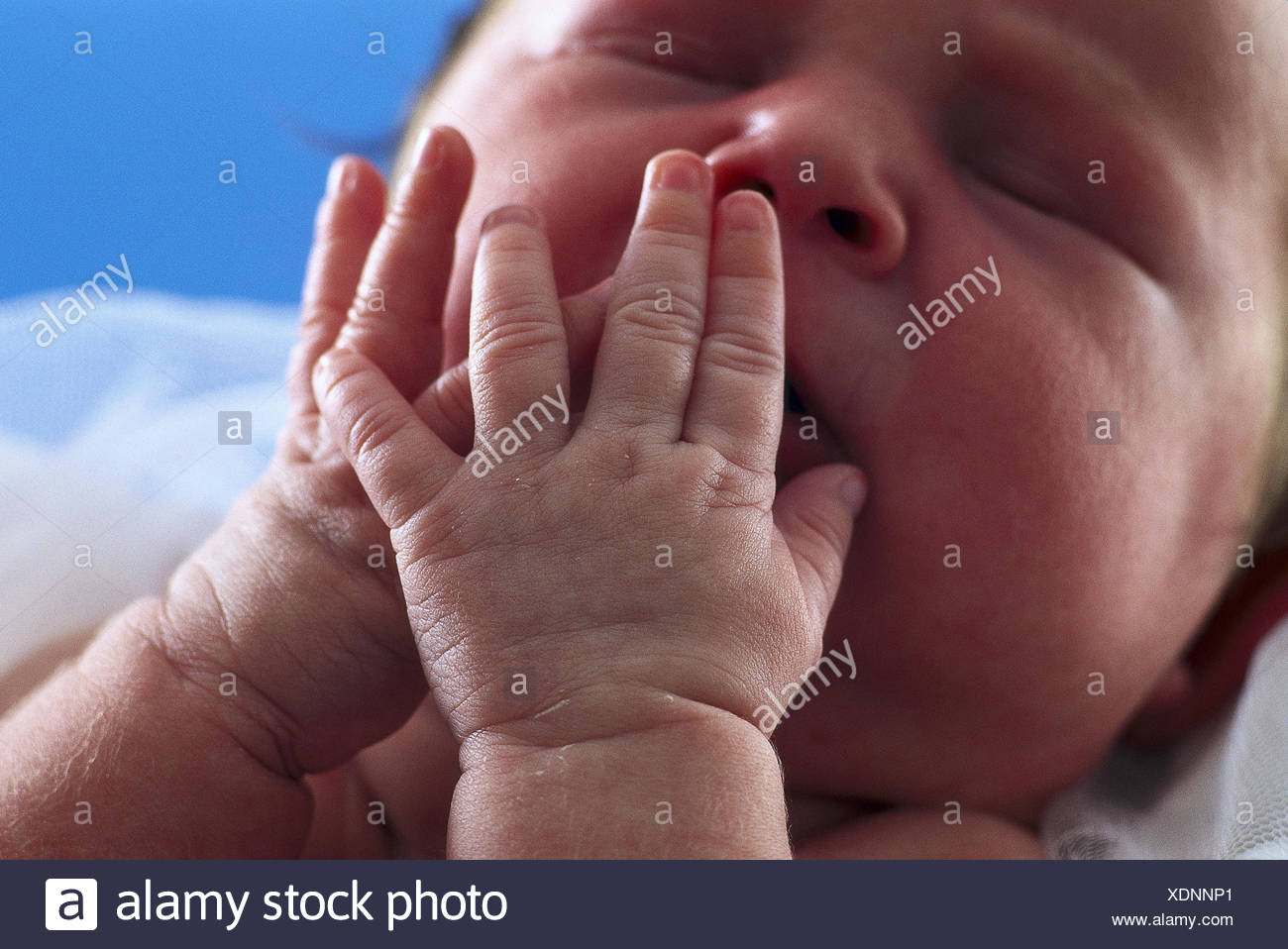Bebe Regard Geste Fatigue Portrait Detail Tres Etroitement Enfant Nourrisson Se Coucher Dormir Fatigue Somnolent Frotter Les Yeux Ferme Bebe Les Mains Les Mains Les Fabricants Les Membres Les Doigts De Bebe Bebe Regard Geste Fatigue Portrait Detail Tres Etroitement Enfant Nourrisson Se Coucher Dormir Fatigue Somnolent Frotter Les Yeux Ferme Bebe Les Mains Les Mains Les Fabricants Les Membres Les Doigts De Bebe