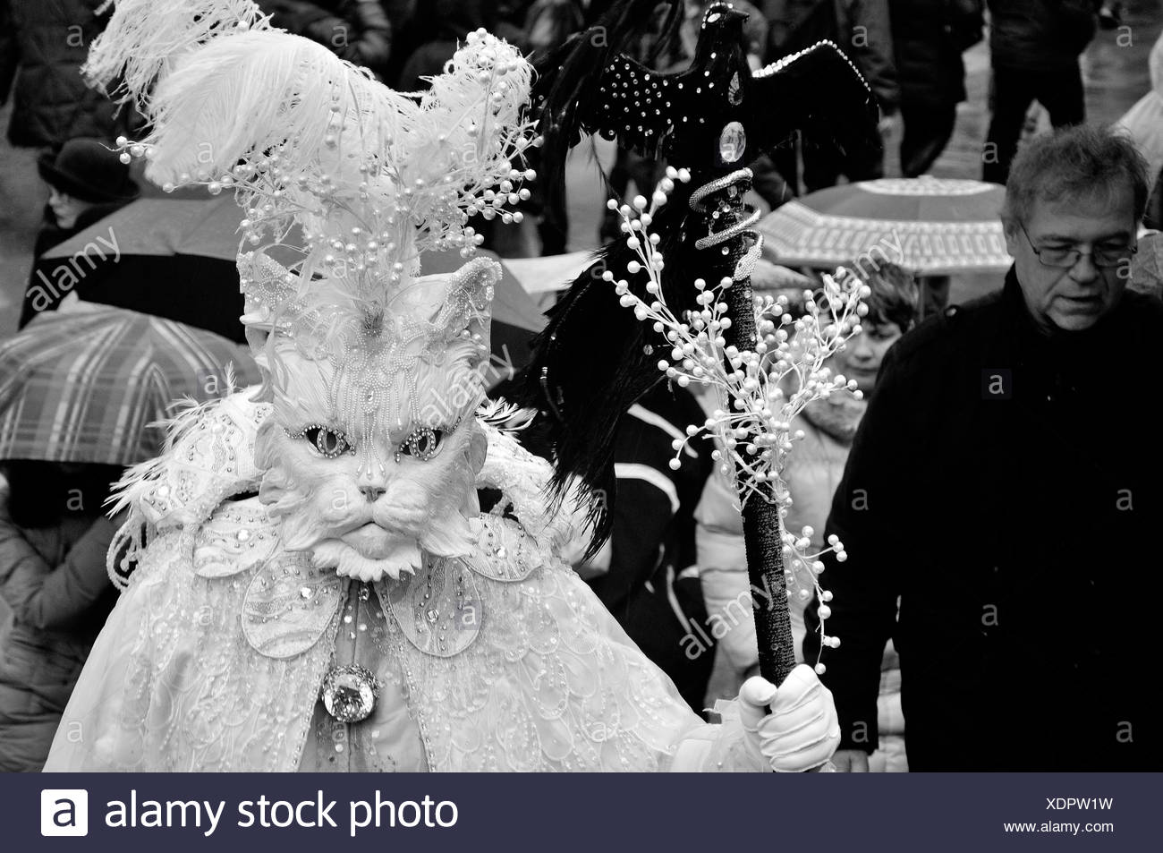 Carnaval de Venise masque de fonctionnalités. Italie Banque D'Images