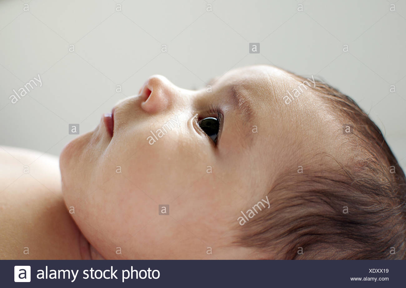 Profil D Un Bebe De Deux Mois Photo Stock Alamy Profil D Un Bebe De Deux Mois Photo Stock Alamy