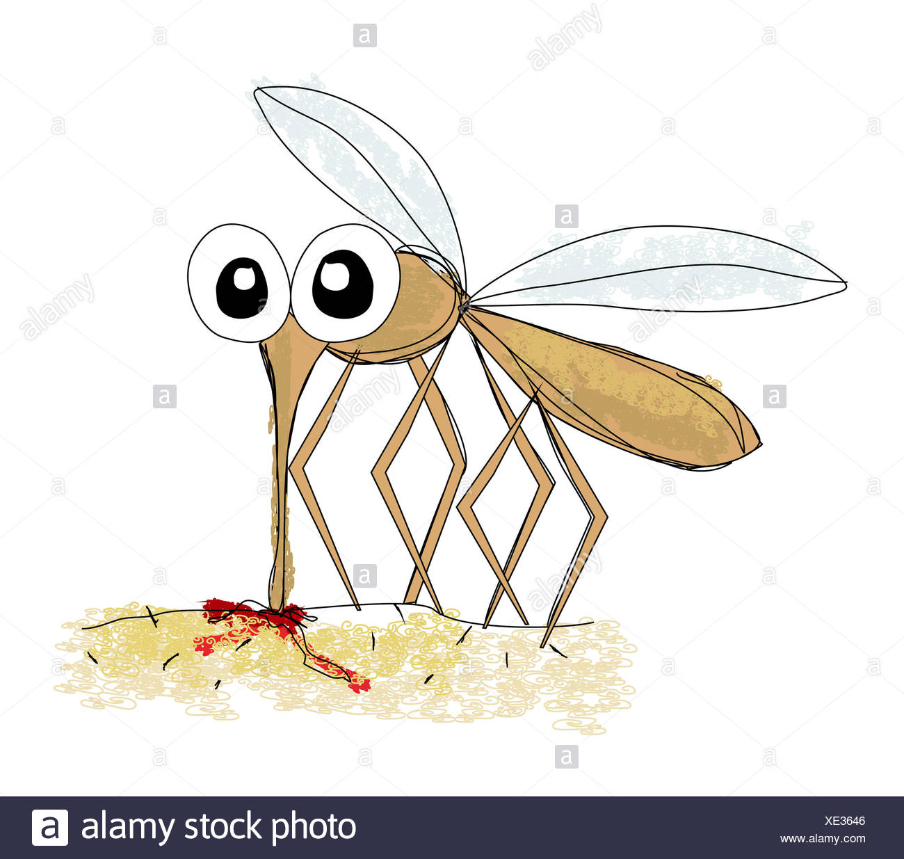 Moustique Vecteur De Dessin A La Main Photo Stock Alamy