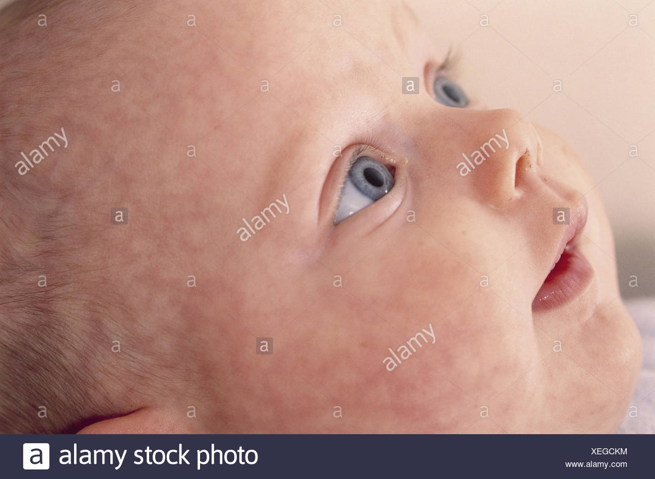 Bebe Regarde De Haut Profil Enfant Nourrisson Abordes 4 Mois Bebe Les Yeux La Peau De Bebe Alertly L Attention Du Regard Vers Le Haut L Observation L Observe Fascine Fascination Decouvre Photo Stock Bebe Regarde De Haut Profil Enfant Nourrisson Abordes 4 Mois Bebe Les Yeux La Peau De Bebe Alertly L Attention Du Regard Vers Le Haut L Observation L Observe Fascine Fascination Decouvre Photo Stock