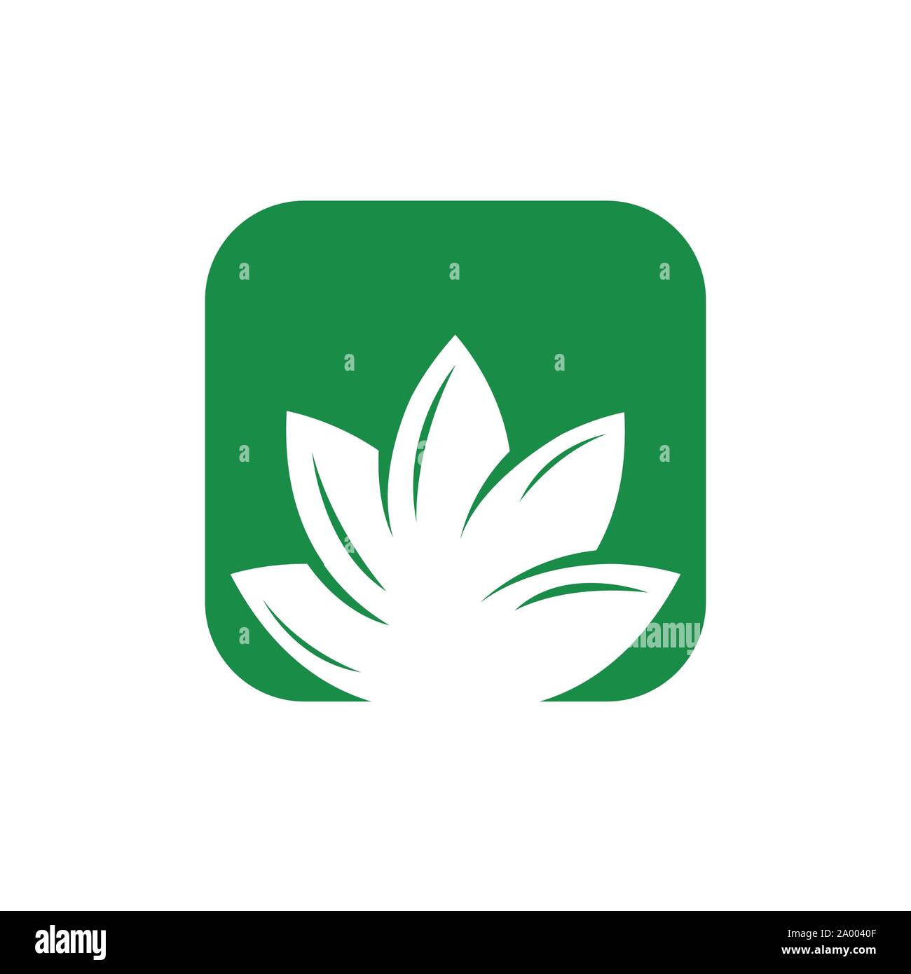Square fiore di loto logo template vettoriale design illustrazione Illustrazione Vettoriale