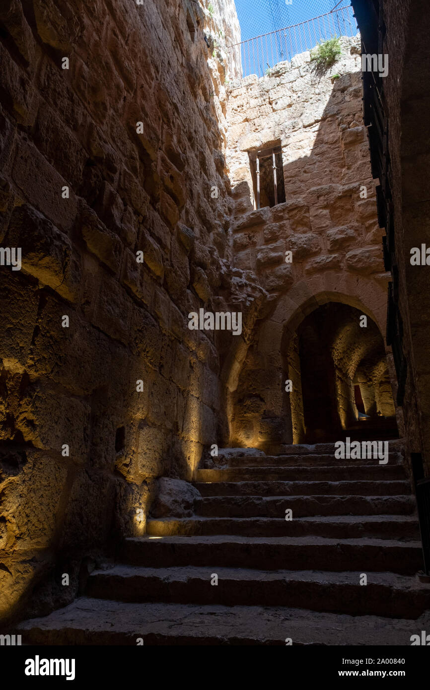 Il castello di Ajloun nel nord-ovest della Giordania. Paesi arabi e crociati fort. Foto Stock
