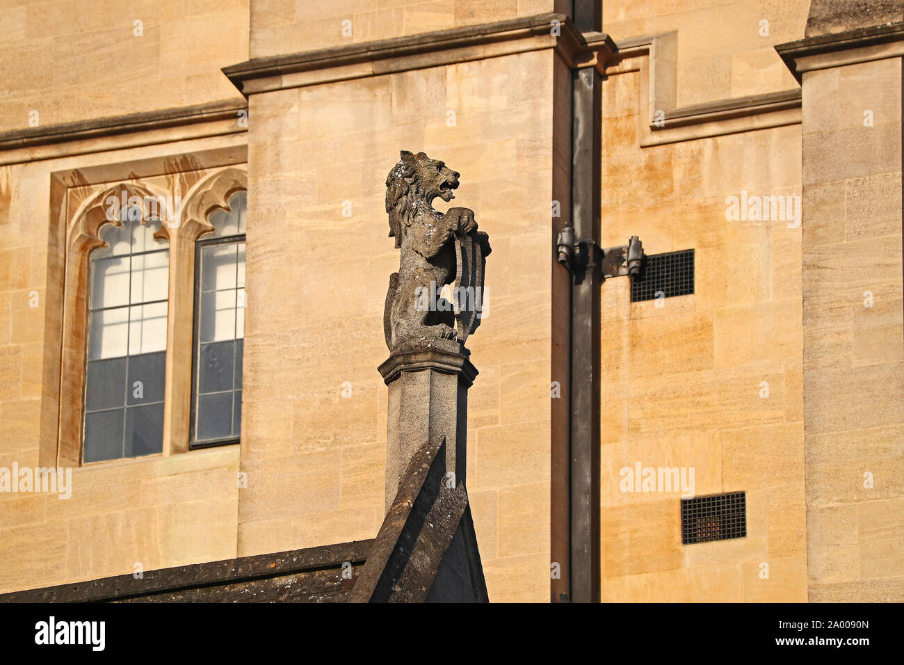 Dettaglio in muratura da 1890s su New College di Oxford in Holywell Street che mostra un leone azienda uno scudo in color miele o calcare Cotswold stone Foto Stock