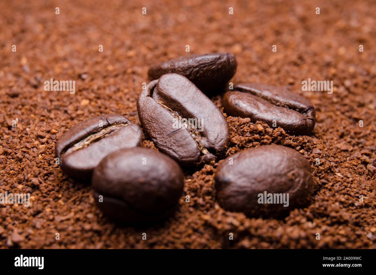 Close-up di caffè torrefatto Caffè in grani sul caffè macinato Foto Stock