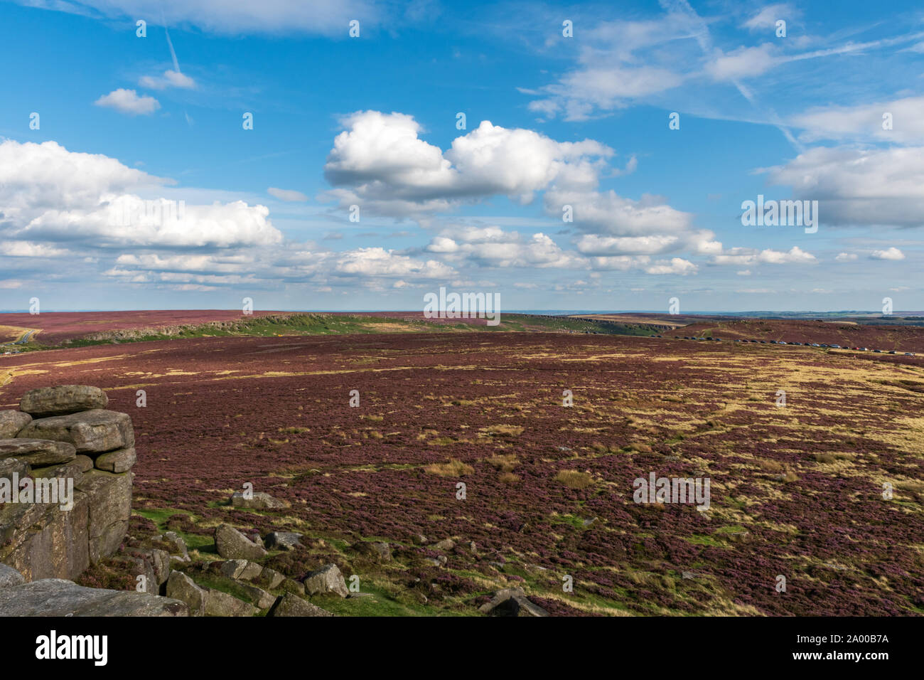 La porpora e giallo campi vicino a bordo Stanage Foto Stock