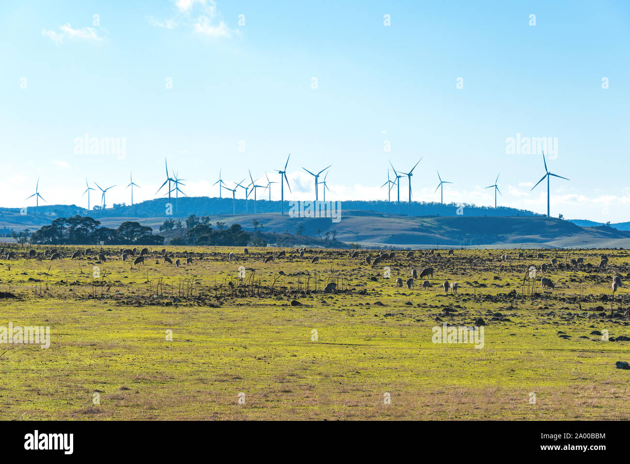 Il mulino a vento di turbina di elettricità con sfondo di campagna. I terreni agricoli e le turbine eoliche. Myrtleville, NSW, Australia Foto Stock