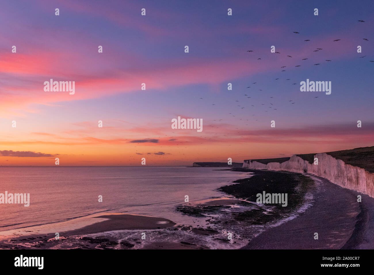 Tramonto sul Birling Gap e le sette sorelle con uccelli tettuccio Foto Stock