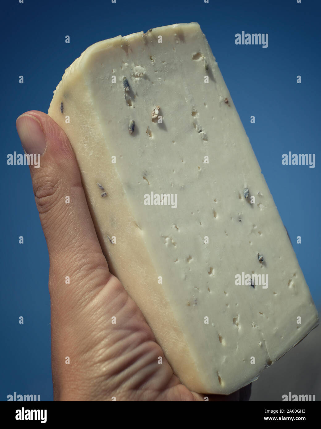 Formaggio artigianale da mucche e capre latte. Testa di formaggio. Messa a fuoco selettiva Foto Stock