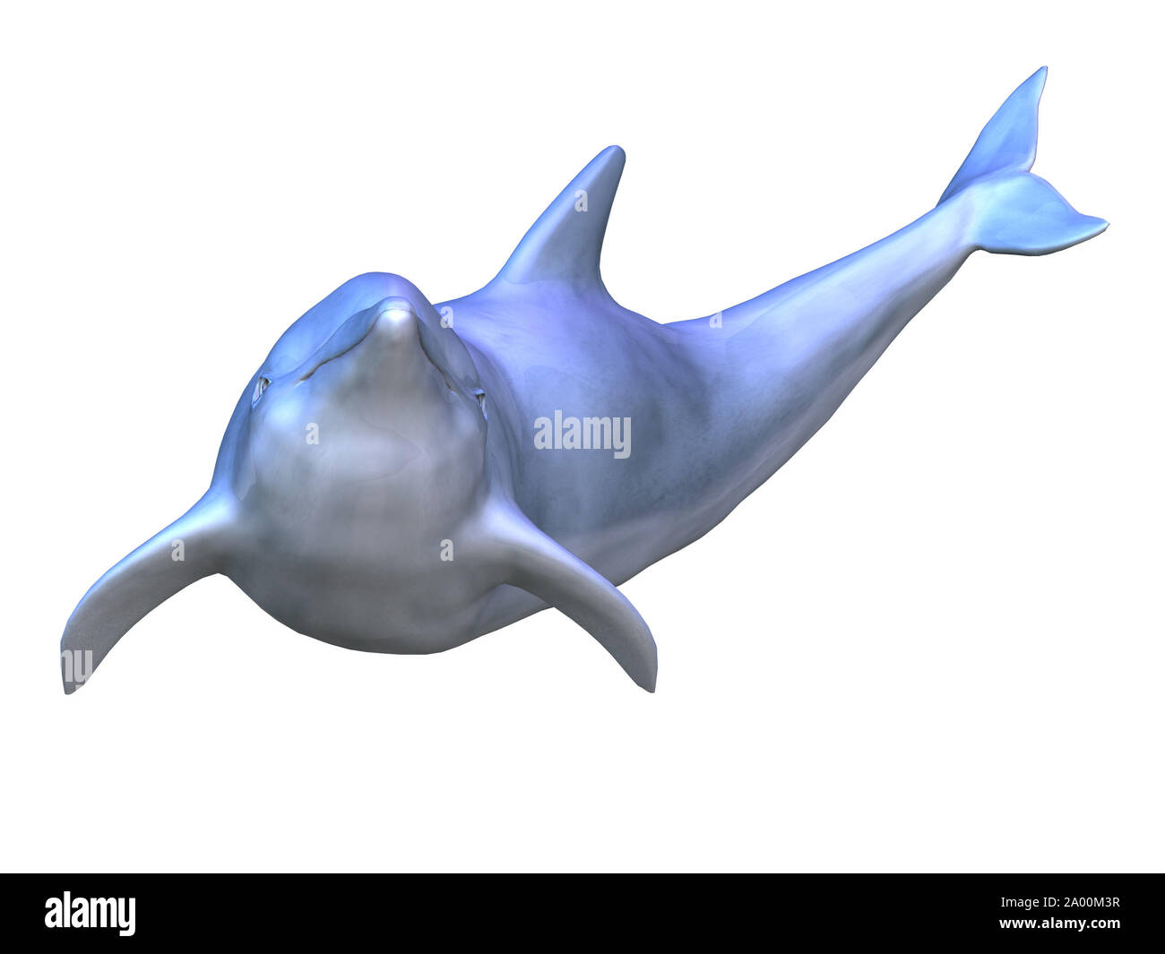 Rendering digitale di una piscina dolphin su sfondo bianco. Foto Stock Rendering digitale di una piscina dolphin su sfondo bianco. Foto Stock