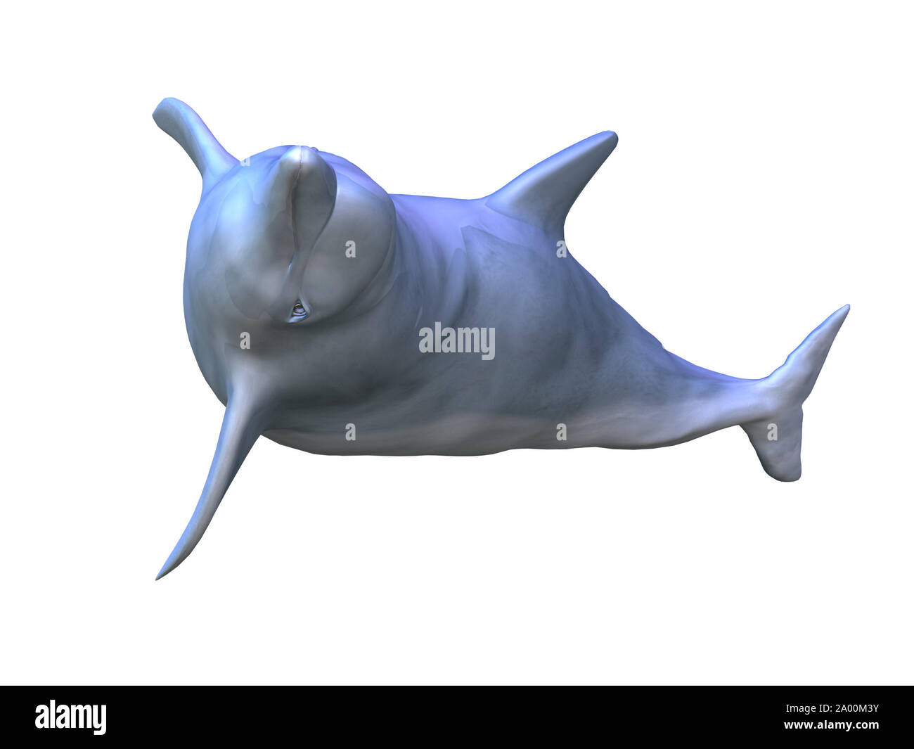 Rendering digitale di una piscina dolphin su sfondo bianco. Foto Stock Rendering digitale di una piscina dolphin su sfondo bianco. Foto Stock