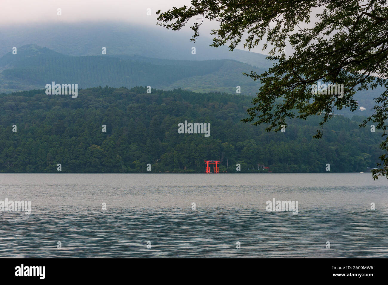 Red Torii gate in acqua di lago con foreste di montagna sullo sfondo a nuvoloso giorno. Lago Ashi, Hakone, Giappone Foto Stock