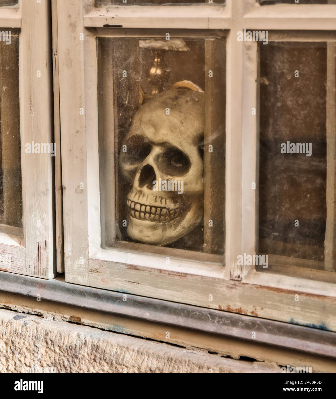 Cranio in finestra, Stoccolma, Svezia Foto Stock