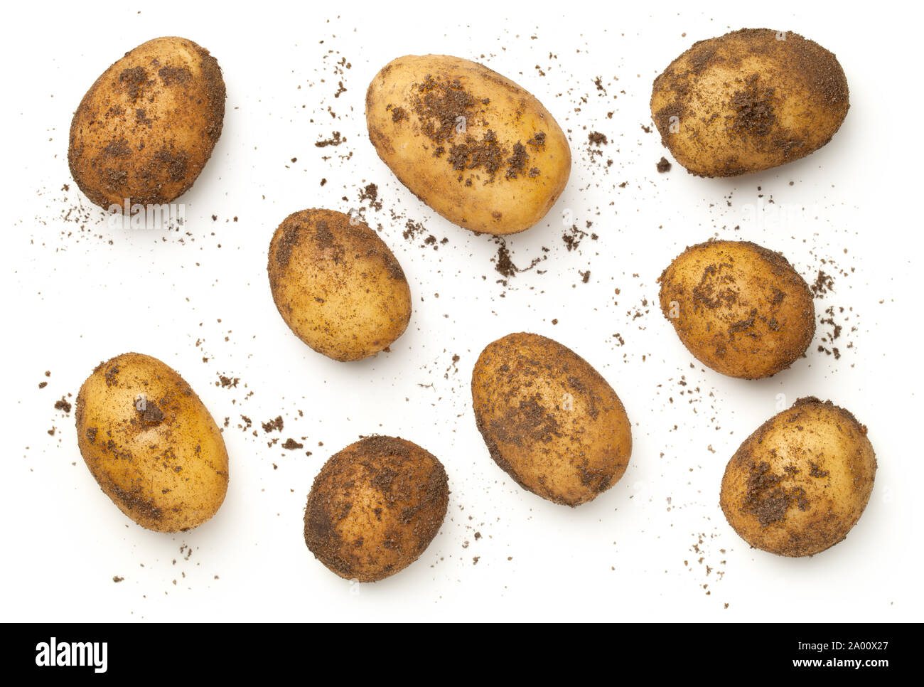 Freschi patate organici isolati su sfondo bianco. Vista superiore, laici piatta Foto Stock