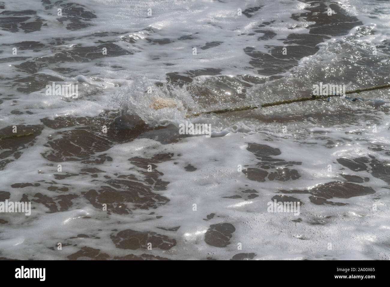 Mar Nero. Tempesta di estate. Sciabordare di onde sulla spiaggia Foto Stock