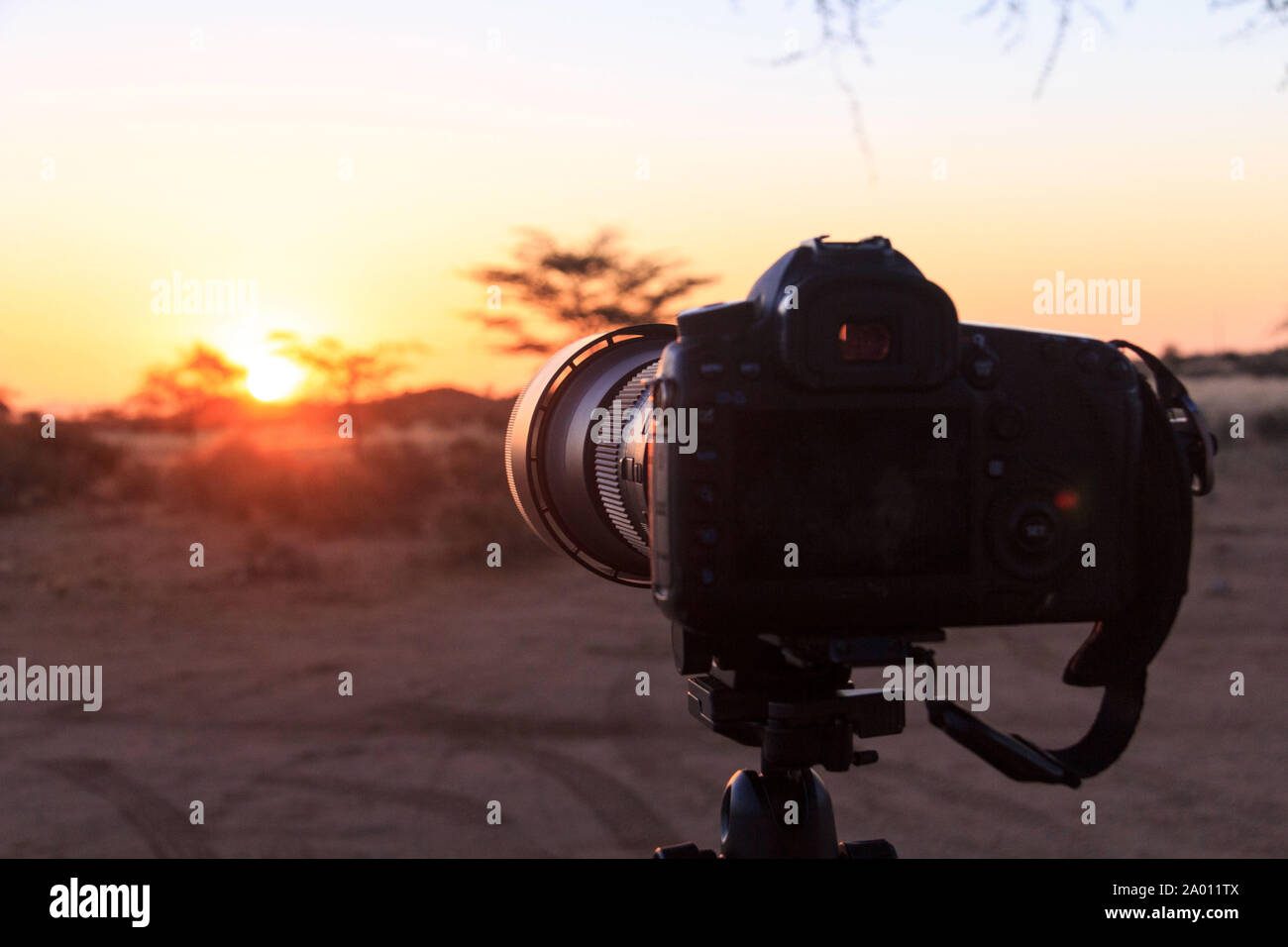 La fotocamera sul cavalletto, la luce del tramonto, Namibia Foto Stock