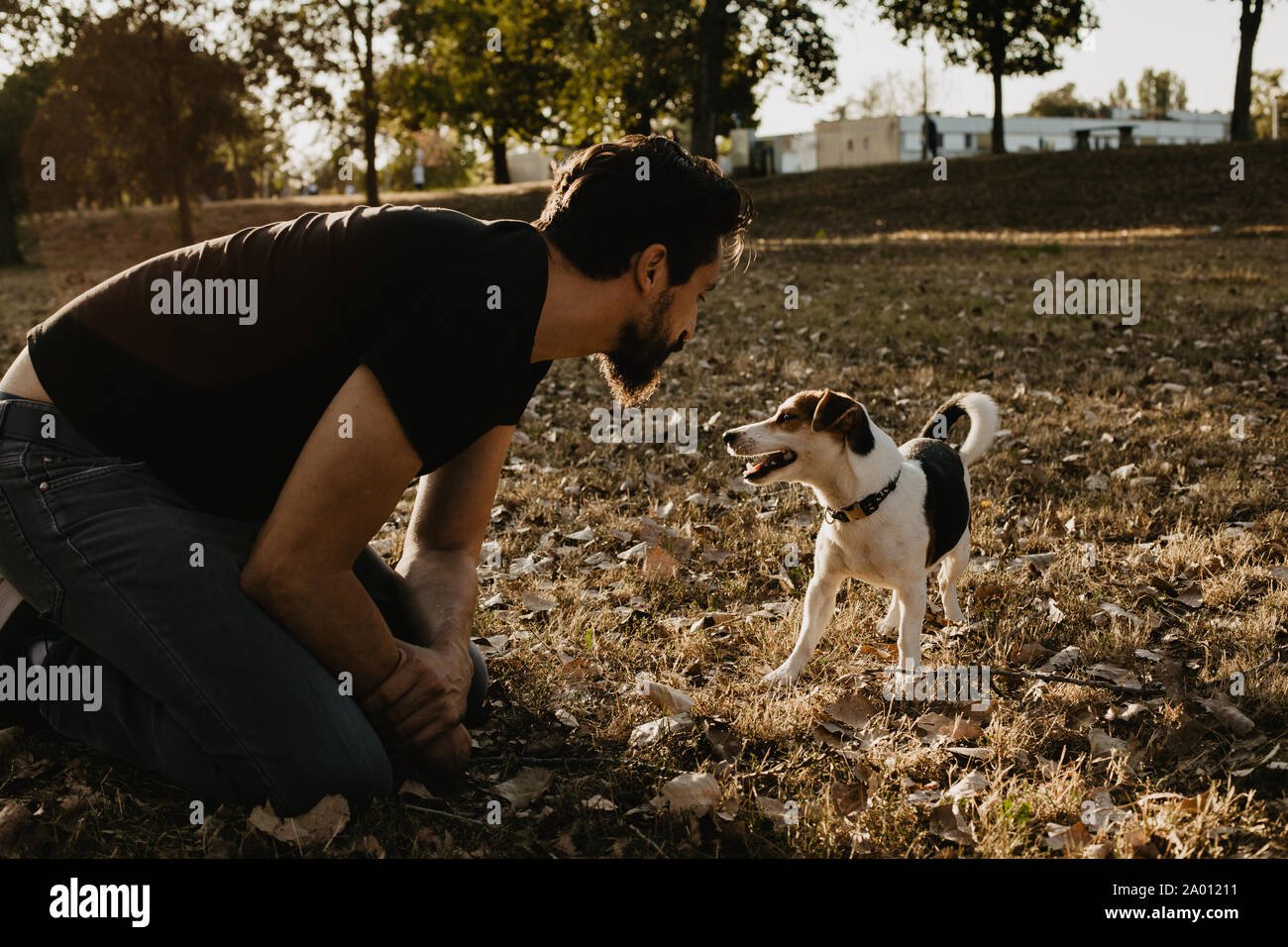Giovane uomo che gioca con il suo cane al parco Foto Stock