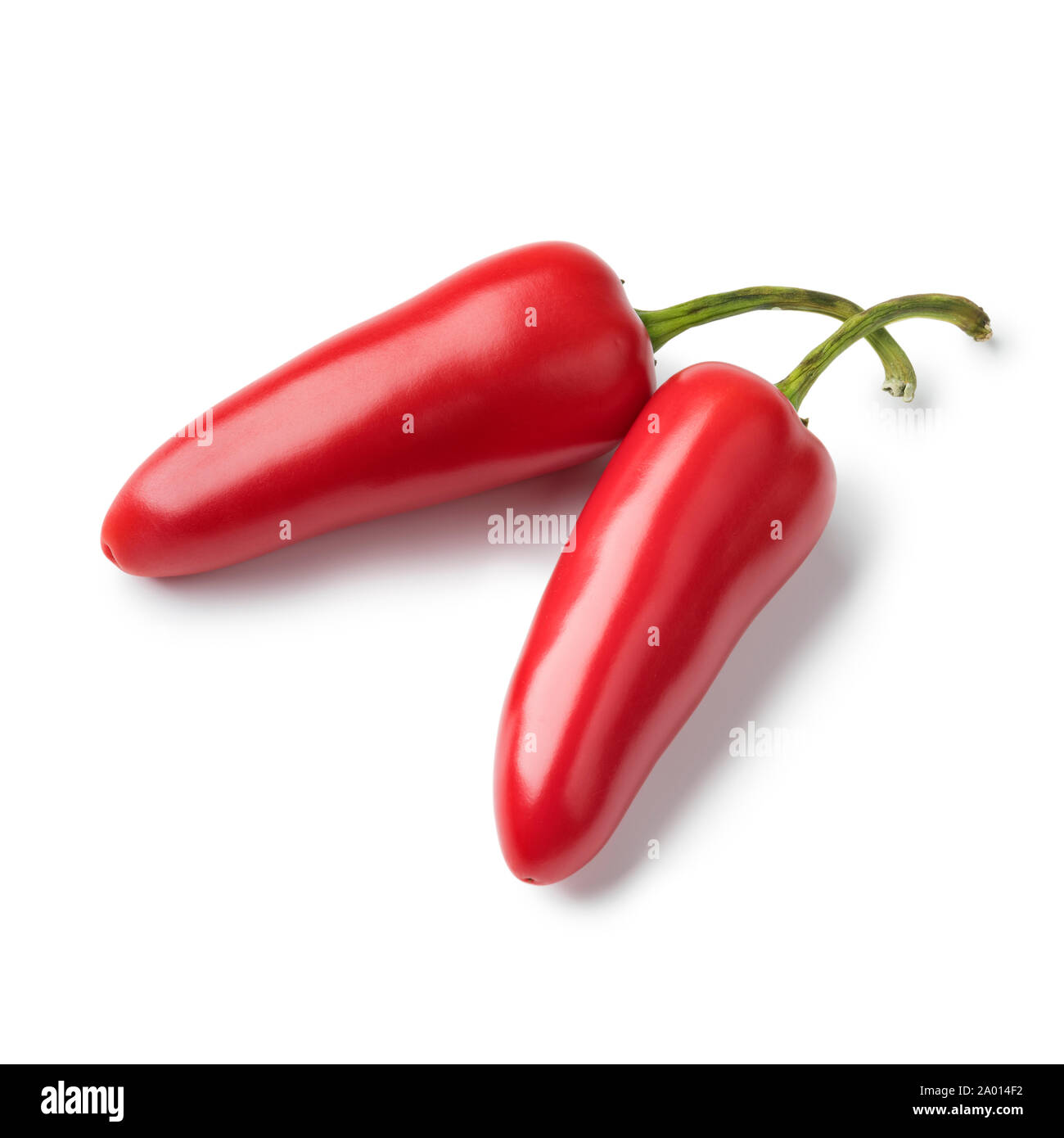 Coppia di rosso fresco peperoncino jalapeno isolati su sfondo bianco Foto Stock