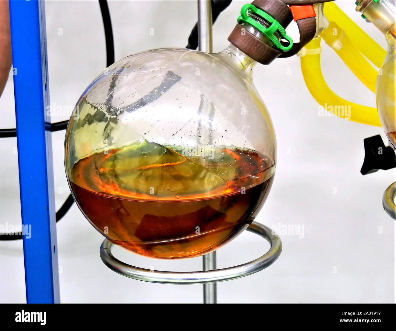 La marijuana olio di cannabis estrazione in laboratorio, immagine Foto Stock