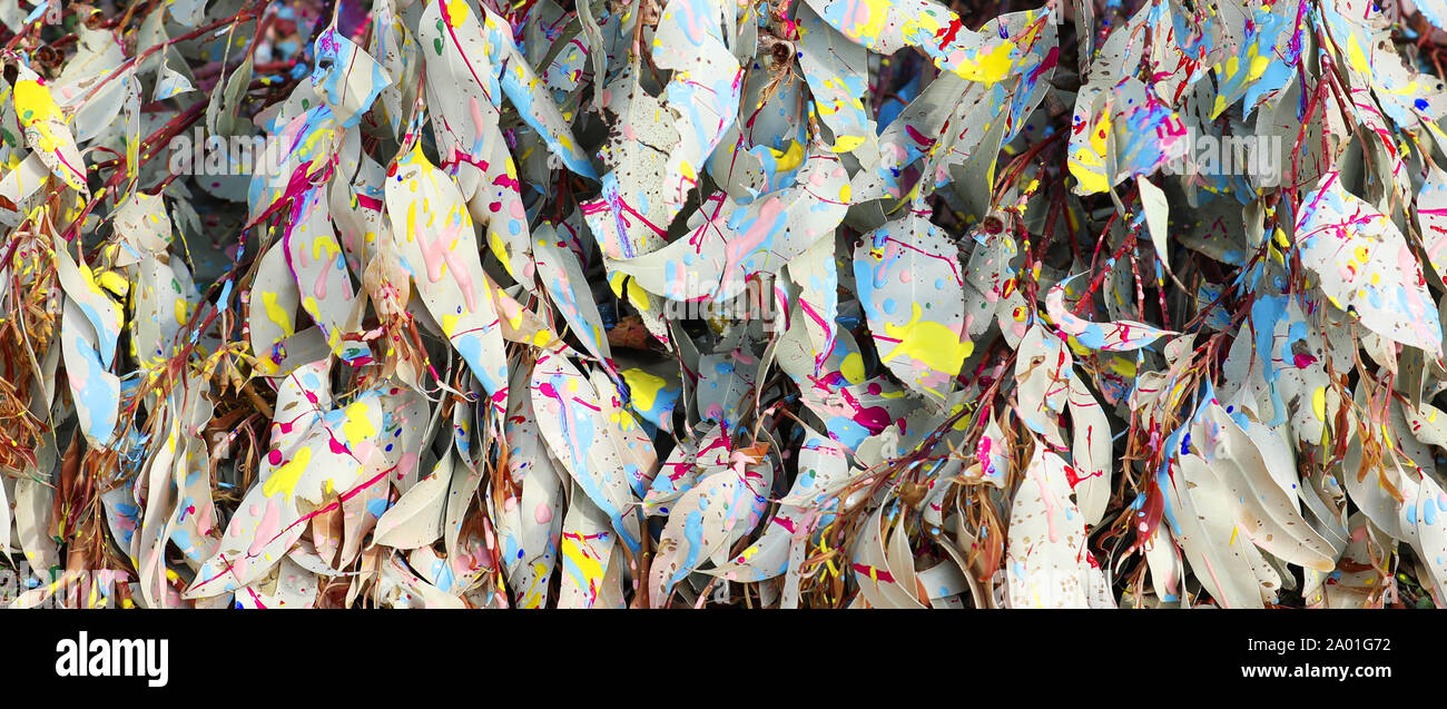Sfondo di foglie con configurazione astratta di opener spruzzato dai colori luminosi gocce di vernice, cola e dribbling. Foglie di gomma dipinti fuori all'aperto Foto Stock