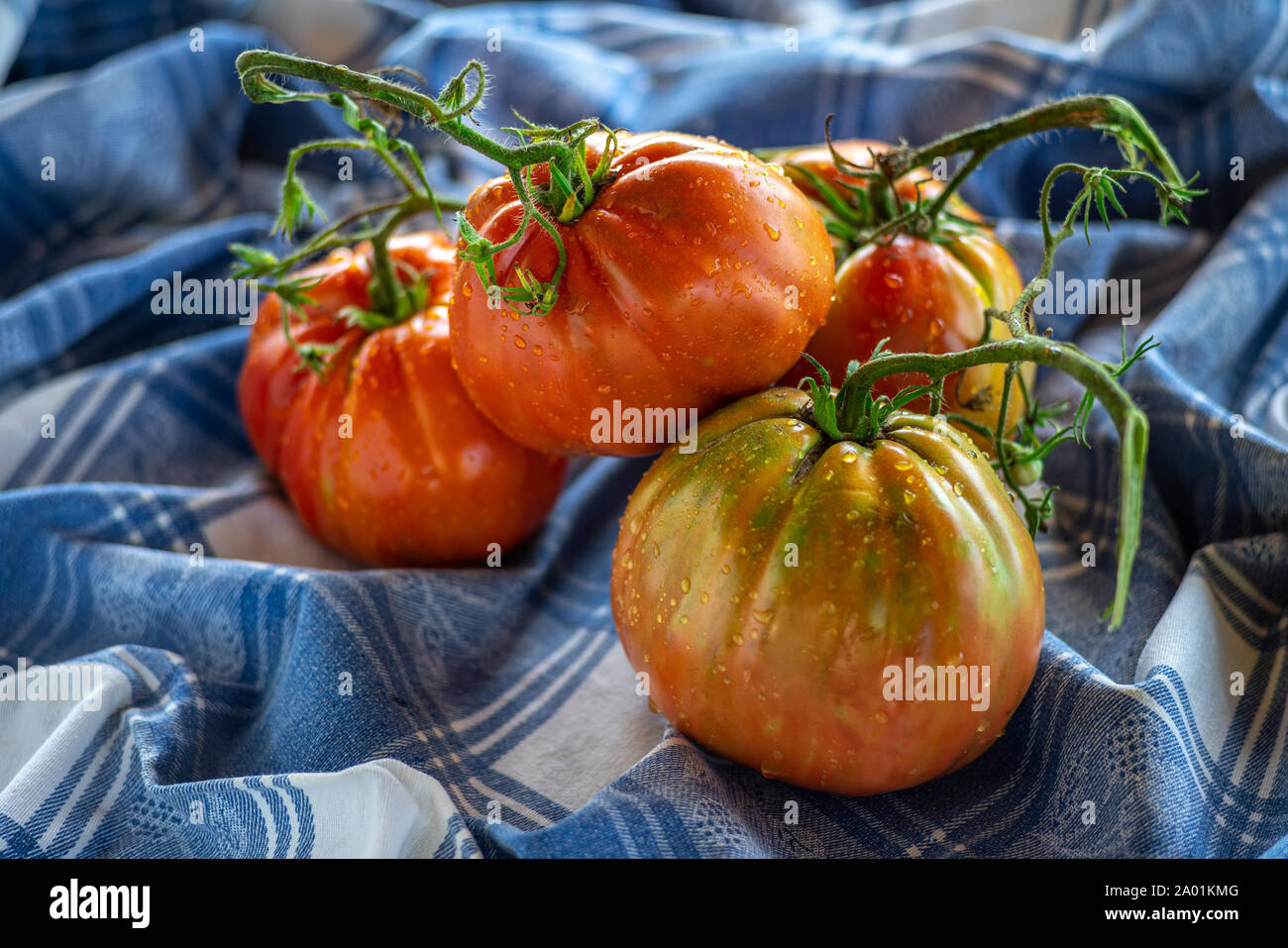 Gruppo di cuore bovino pomodori sul panno della tabella Foto Stock