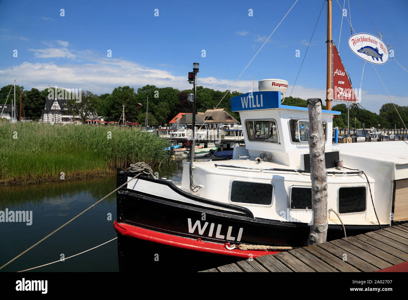KLoster, Kutter WILLI nel porto, Hiddensee isola, Mar Baltico, Meclemburgo-Pomerania, Germania, Europa Foto Stock