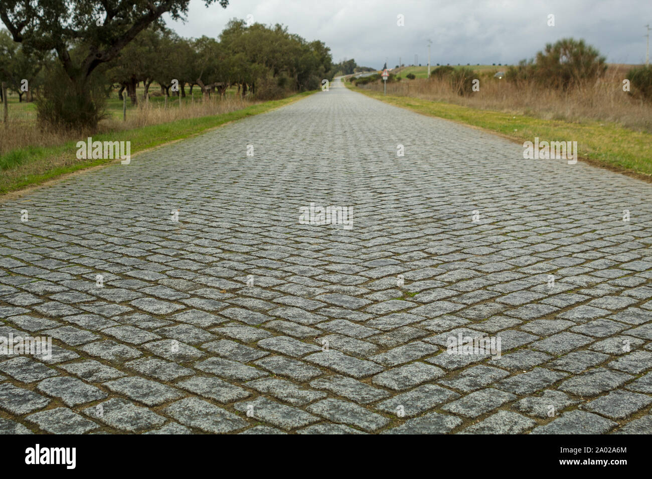 Ciottoli stone road colpo dal basso angolo Foto Stock Ciottoli stone road colpo dal basso angolo Foto Stock
