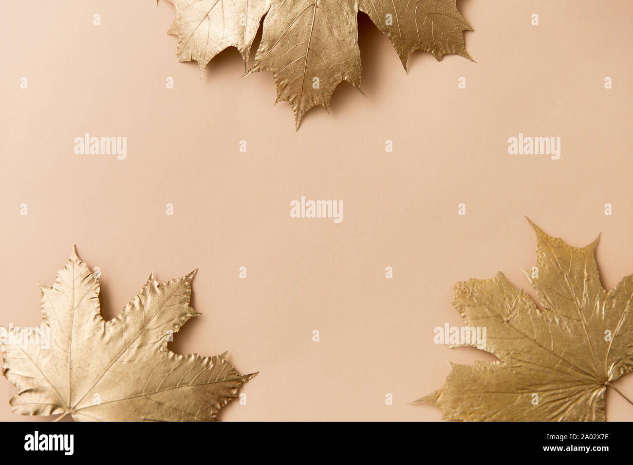 Golden foglie di acero su sfondo beige Foto Stock