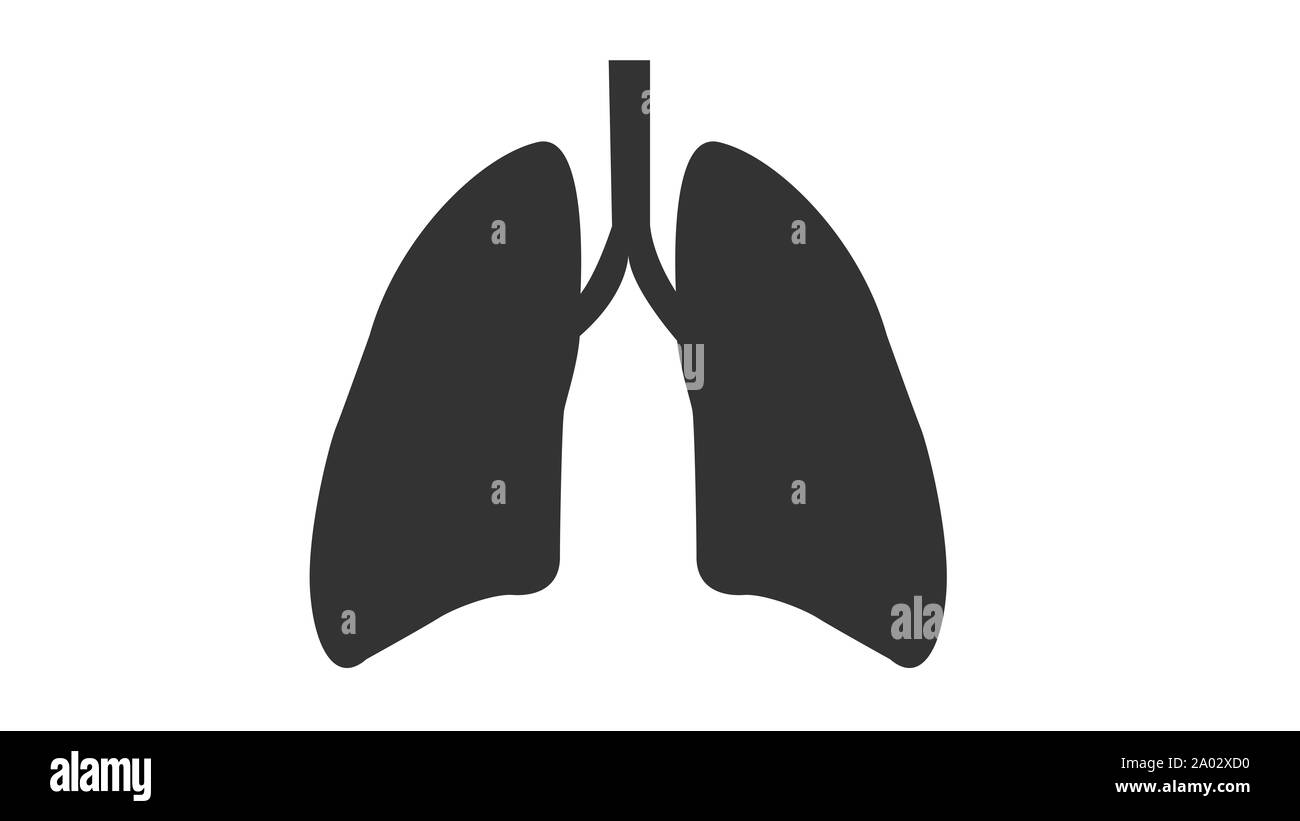 Polmone sano organo su sfondo bianco Foto Stock
